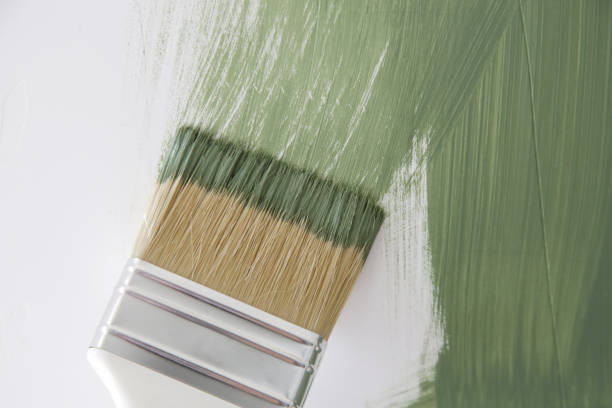 Best Mold Damage Restoration  in Fowler, IN