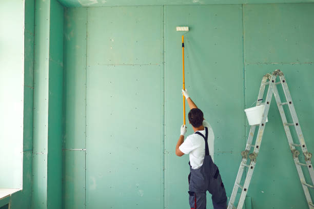 Best Mold Removal for HVAC Installations  in Fowler, IN
