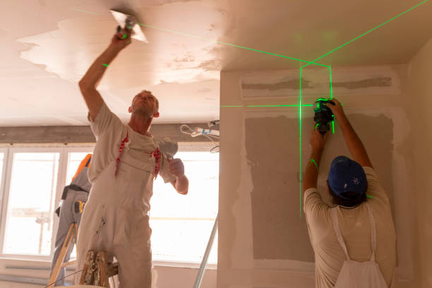 Best Attic Mold Removal  in Fowler, IN