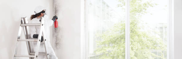 Best Dehumidification Services  in Fowler, IN