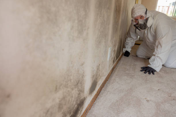 Best HVAC Mold Inspection and Cleaning  in Fowler, IN